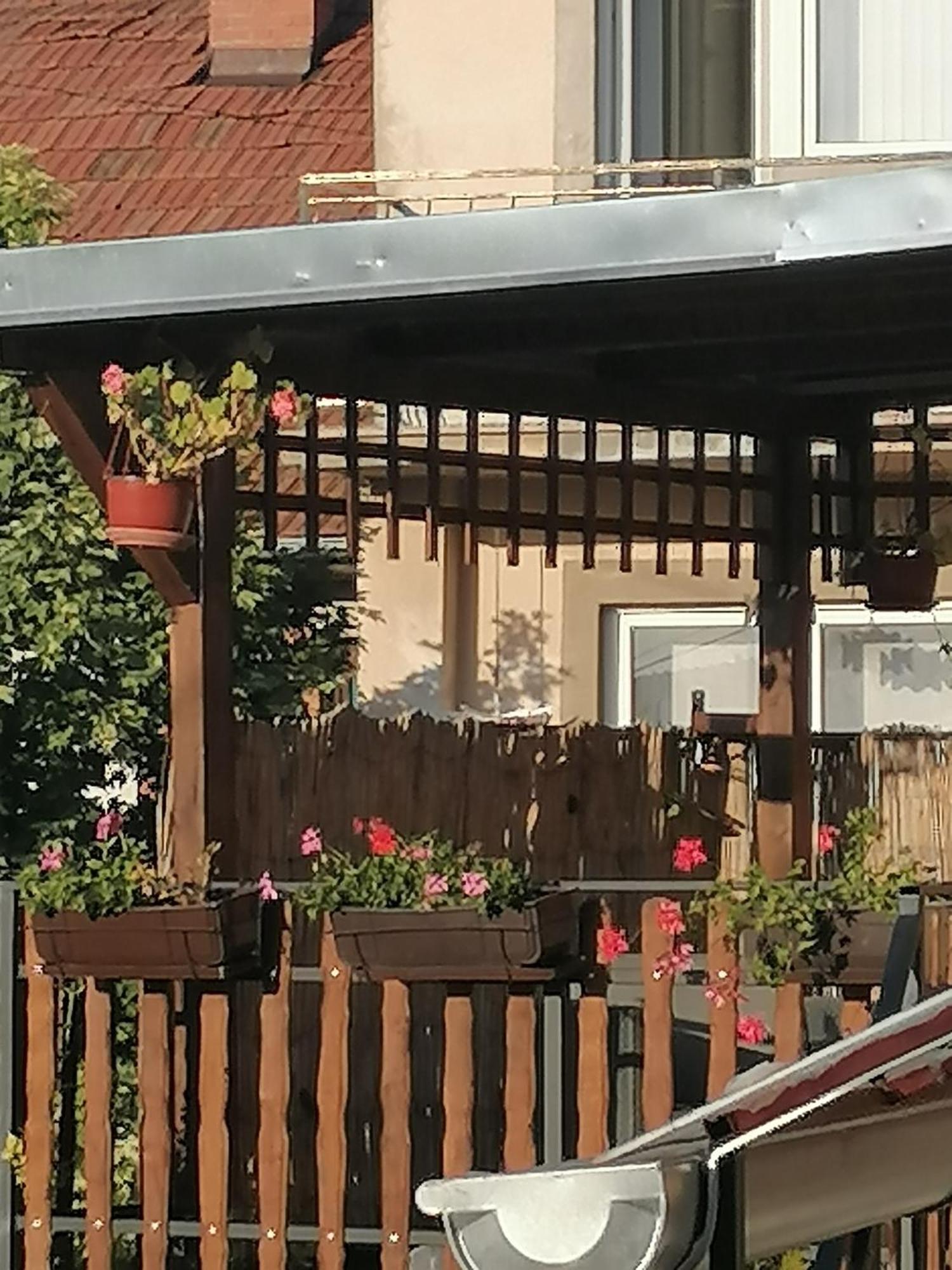 Apartmani Milosavljevic Soko Banja Habitación foto